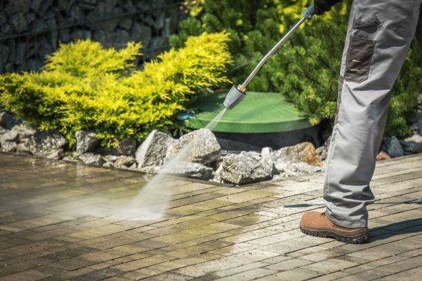Best Fence Cleaning  in Bridge City, TX