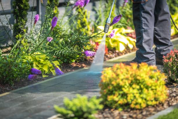 Best Parking Lot and Garage Cleaning  in Bridge City, TX